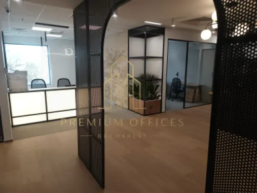 Calea Victoriei serviced offices premium