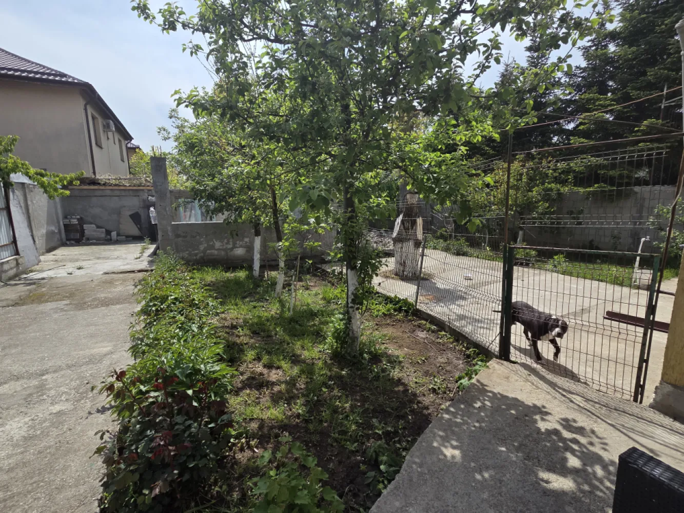 Duplex pretabil azil,gradinita motel - ÎNTREAGA PROPRIETATE (Vilă 500 mp + Curte 600 mp)Preț: 360.000 EUR (Cea mai avantajoasă ofertă per metru pătrat din zonă!)PARTEA OPORTUNITATE (Corp 1 – 210 mp utili)Preț vânzare: 180.000 EURStadiu: Exterior finisat, interior la roșu (deschis la personalizare).Opțiune închiriere: Se închiriază pe termen lung, iar investiția pe care o faceți în finisaje se scade direct din chirie!PARTEA LA CHEIE (Corp 2 + Corp 3 – 260 mp utili + Terase)Preț: 300.000 EUROCorp 2 (210 mp): Complet finisat și gata de mutat! Living, bucătărie, 2 băi, 3 dormitoare primitoare (cu ieșire pe balcon/terasă) și o mansardă open-space de 70 mp.Corp 3 (50 mp + Subsol): Anexă cu 2 camere, intrare proprie și o terasă spectaculoasă de 50 mp deasupra, accesibilă pe scară exterioară. Deasupra subsolului de 12 mp se află hidroforul și puțul.Utilități complete (gaze, apă, canalizare, curent 380V), finisaje exterioare complete și o energie excelentă conferită de livada proprie. Proprietățile cu un asemenea teren și potențial sunt extrem de rare în Popești! Sună acum pentru a programa o vizionare și lasă-te cucerit de această oază de verdeață!