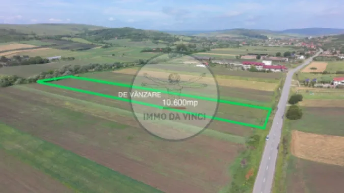 Teren 10.670 mp | Borșa Cluj | Front 38m | Utilități