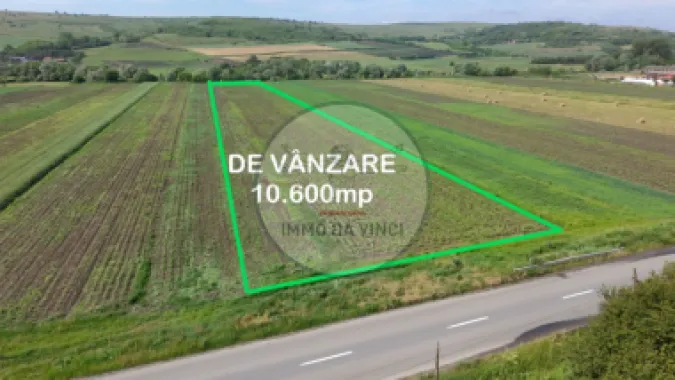 Teren 10.670 mp | Borșa Cluj | Front 38m | Utilități
