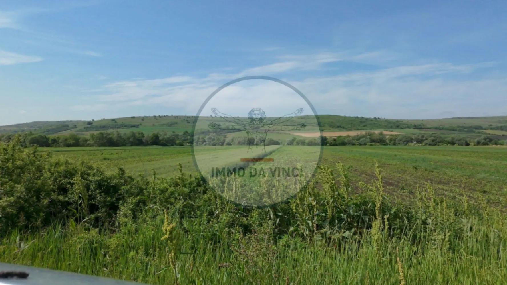 Teren 10.670 mp | Borșa Cluj | Front 38m | Utilități