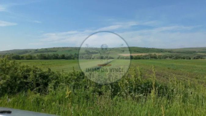 Teren 10.670 mp | Borșa Cluj | Front 38m | Utilități