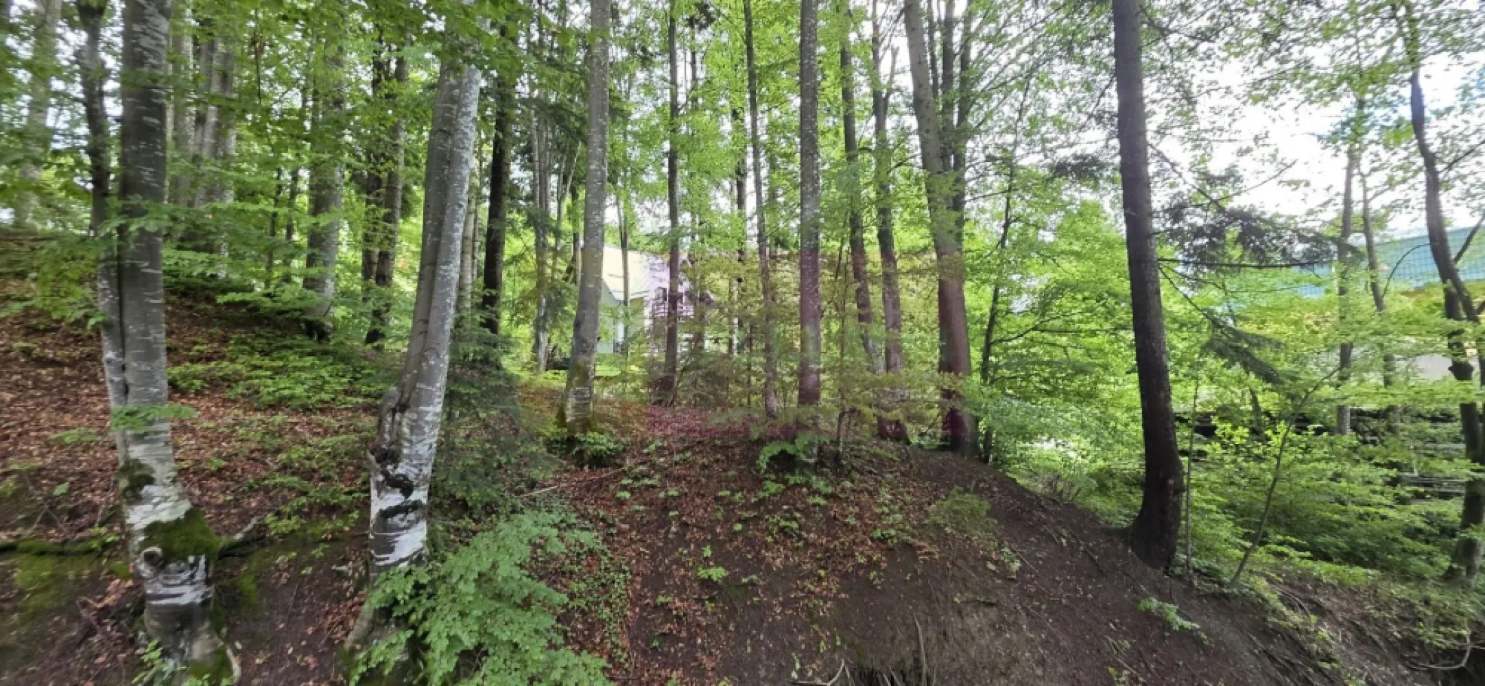 Teren intravilan 720 mp Sinaia - Teren intravilan de vânzare – Sinaia, zona Tirul cu Porumbei

Agenția Imobiliară Mervani vă propune spre vânzare un teren intravilan cu suprafața de 720 mp, situat în una dintre cele mai apreciate zone rezidențiale ale stațiunii Sinaia – Tirul cu Porumbei, în apropierea cartierului Furnica și la doar câteva minute de centrul orașului.

Terenul este încadrat în categoria de folosință pădure, beneficiind de un cadru natural deosebit, liniște și aer curat. Zona este caracterizată de vile de vacanță și proprietăți rezidențiale de calitate, fiind ideală pentru construirea unei case de vacanță, a unei vile familiale sau a unei investiții turistice.

Avantaje ale proprietății:

Suprafață: 720 mp;
Teren intravilan;
Zonă exclusivistă și liniștită;
Aproape de centrul stațiunii Sinaia;
Vecinătăți formate din vile de vacanță și locuințe permanente;
Acces facil către principalele puncte de interes ale stațiunii;
Cadru natural spectaculos, specific zonei montane Sinaia.

Sinaia este una dintre cele mai căutate destinații turistice și rezidențiale din România, iar amplasamentul acestui teren oferă un excelent potențial atât pentru uz personal, cât și pentru investiție.

Preț și informații suplimentare:
Agenția Imobiliară Mervani
Telefon: 0729 935 536