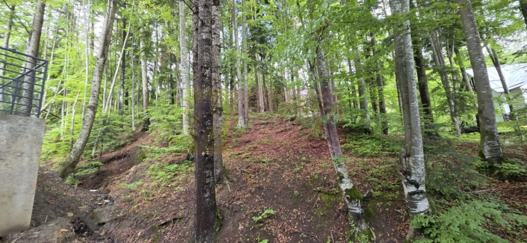 Teren intravilan 720 mp Sinaia - Teren intravilan de vânzare – Sinaia, zona Tirul cu Porumbei

Agenția Imobiliară Mervani vă propune spre vânzare un teren intravilan cu suprafața de 720 mp, situat în una dintre cele mai apreciate zone rezidențiale ale stațiunii Sinaia – Tirul cu Porumbei, în apropierea cartierului Furnica și la doar câteva minute de centrul orașului.

Terenul este încadrat în categoria de folosință pădure, beneficiind de un cadru natural deosebit, liniște și aer curat. Zona este caracterizată de vile de vacanță și proprietăți rezidențiale de calitate, fiind ideală pentru construirea unei case de vacanță, a unei vile familiale sau a unei investiții turistice.

Avantaje ale proprietății:

Suprafață: 720 mp;
Teren intravilan;
Zonă exclusivistă și liniștită;
Aproape de centrul stațiunii Sinaia;
Vecinătăți formate din vile de vacanță și locuințe permanente;
Acces facil către principalele puncte de interes ale stațiunii;
Cadru natural spectaculos, specific zonei montane Sinaia.

Sinaia este una dintre cele mai căutate destinații turistice și rezidențiale din România, iar amplasamentul acestui teren oferă un excelent potențial atât pentru uz personal, cât și pentru investiție.

Preț și informații suplimentare:
Agenția Imobiliară Mervani
Telefon: 0729 935 536