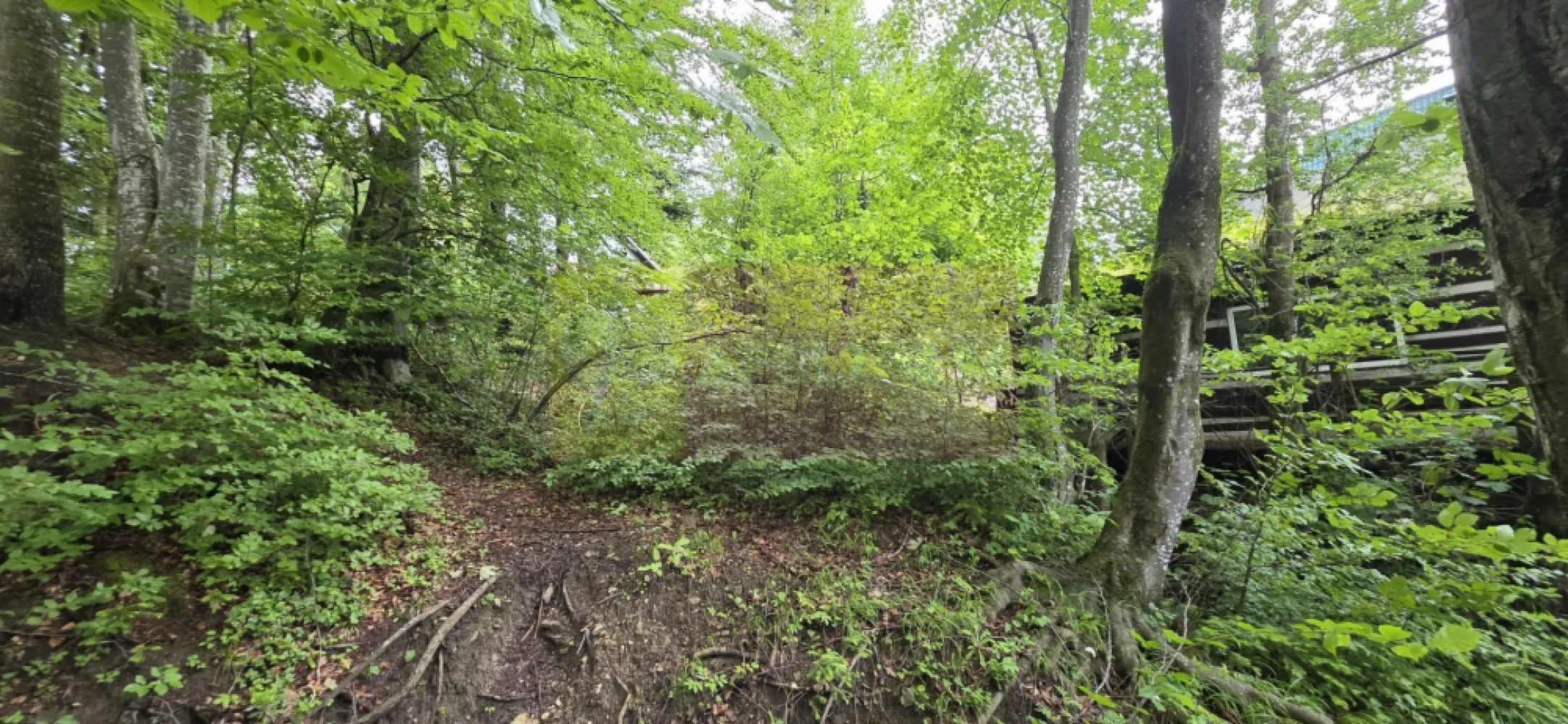 Teren intravilan 720 mp Sinaia - Teren intravilan de vânzare – Sinaia, zona Tirul cu Porumbei

Agenția Imobiliară Mervani vă propune spre vânzare un teren intravilan cu suprafața de 720 mp, situat în una dintre cele mai apreciate zone rezidențiale ale stațiunii Sinaia – Tirul cu Porumbei, în apropierea cartierului Furnica și la doar câteva minute de centrul orașului.

Terenul este încadrat în categoria de folosință pădure, beneficiind de un cadru natural deosebit, liniște și aer curat. Zona este caracterizată de vile de vacanță și proprietăți rezidențiale de calitate, fiind ideală pentru construirea unei case de vacanță, a unei vile familiale sau a unei investiții turistice.

Avantaje ale proprietății:

Suprafață: 720 mp;
Teren intravilan;
Zonă exclusivistă și liniștită;
Aproape de centrul stațiunii Sinaia;
Vecinătăți formate din vile de vacanță și locuințe permanente;
Acces facil către principalele puncte de interes ale stațiunii;
Cadru natural spectaculos, specific zonei montane Sinaia.

Sinaia este una dintre cele mai căutate destinații turistice și rezidențiale din România, iar amplasamentul acestui teren oferă un excelent potențial atât pentru uz personal, cât și pentru investiție.

Preț și informații suplimentare:
Agenția Imobiliară Mervani
Telefon: 0729 935 536