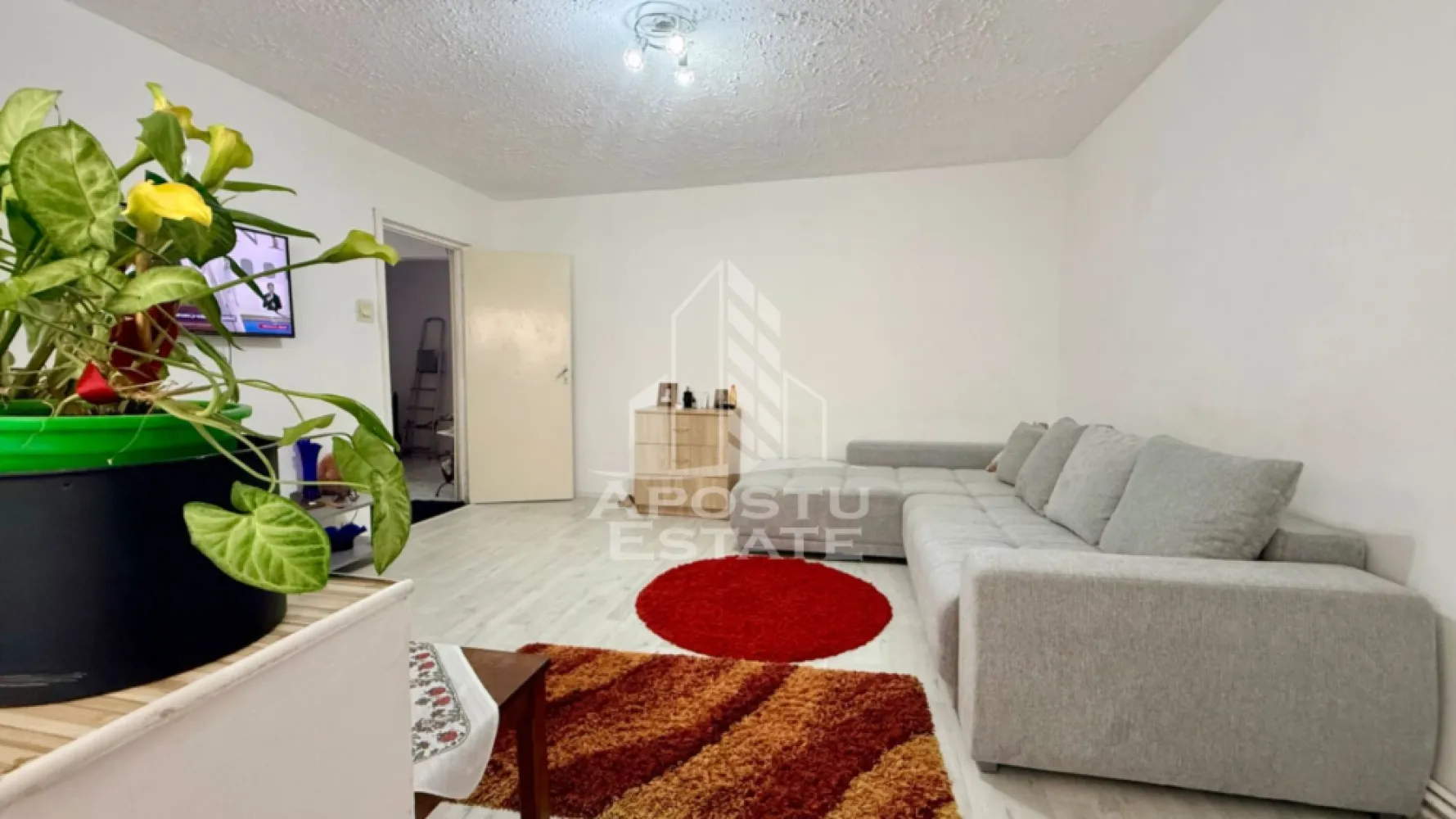 Apartament cu 3 camere, curte si boxa de vanzare, Zona Simion Barnutiu - Agentia imobiliara APOSTU ESTATE va propune spre vanzare un apartament cu 3 camere, boxa si 20mp teren in folosinta, situat la parter inalt intr-un bloc anvelopat, in zona Dorobantilor, Timisoara, judetul Timis.
Imobilul are o suprafata utila de 69.5 mp, decomandat si este compartimentat astfel:
- hol de acces 
- living spatios cu balcon
- bucatarie inchisa, complet mobilata si utilata
- 2 dormitoare
-baie cu cada si geam 

Dotari si beneficii:
-centrala termica proprie pe gaz
-boxa de 16,38 mp
-balcon 4,32 mp
-20 mp teren in folosinta
-bloc anvelopat

Pozitie excelenta:
- doar 5 minute de mers pe jos: Profi, Lidl, farmacii
- 10 minute cu masina si 30 de minute de mers pe jos pana in centrul orasului

Pentru pretul de 140.000 de euro apartamentul se vinde nemobilat, iar pentru pretul de 150.000 de euro se vinde mobilat.

Apartamentul este ideal atat pentru locuinta proprie, cat si pentru investitie. Zona este bine cotata, cu multiple facilitati in proximitate.

Agentia imobiliara Apostu Estate va ofera consultanta bancara gratuita prin intermediul colaboratorilor nostri pentru alegerea celui mai potrivit tip de credit, astfel incat tu sa devii noul proprietar al acestui apartament.
Va asteptam cu drag la o vizionare.
ID INTERN : CP3118111