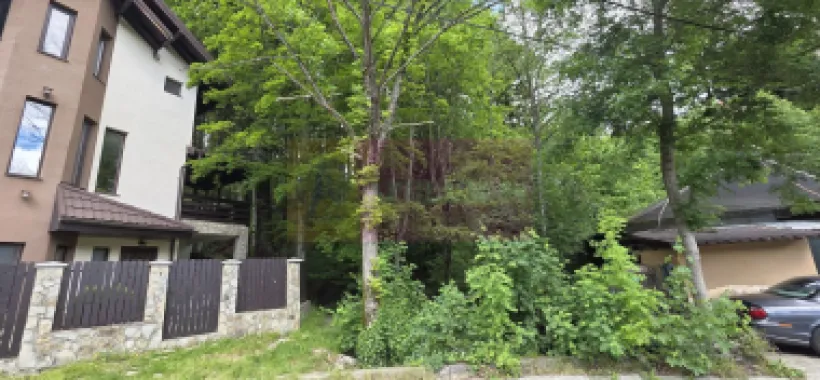 Teren intravilan 720 mp Sinaia