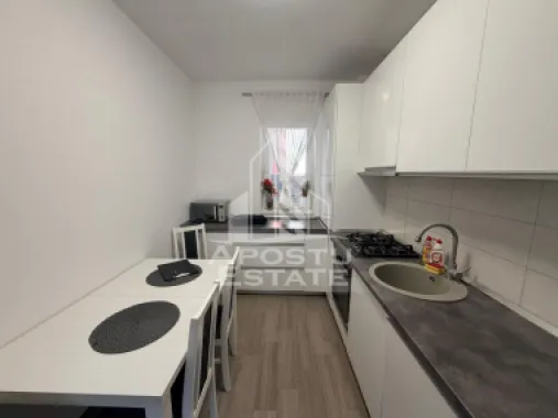 Apartament cu 2 camere, de inchiriat, Giroc, Curte Proprie