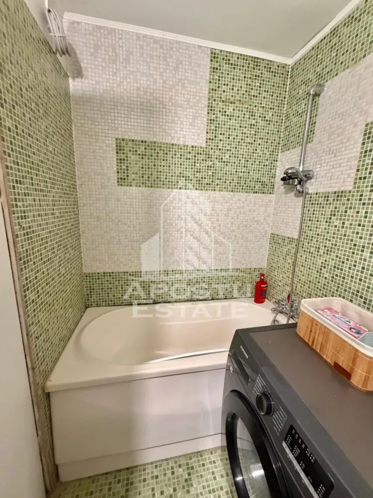 Apartament cu 1 camera de inchiriat, petfriendly, Sagului, Timisoara