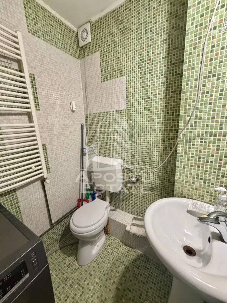 Apartament cu 1 camera de inchiriat, petfriendly, Sagului, Timisoara