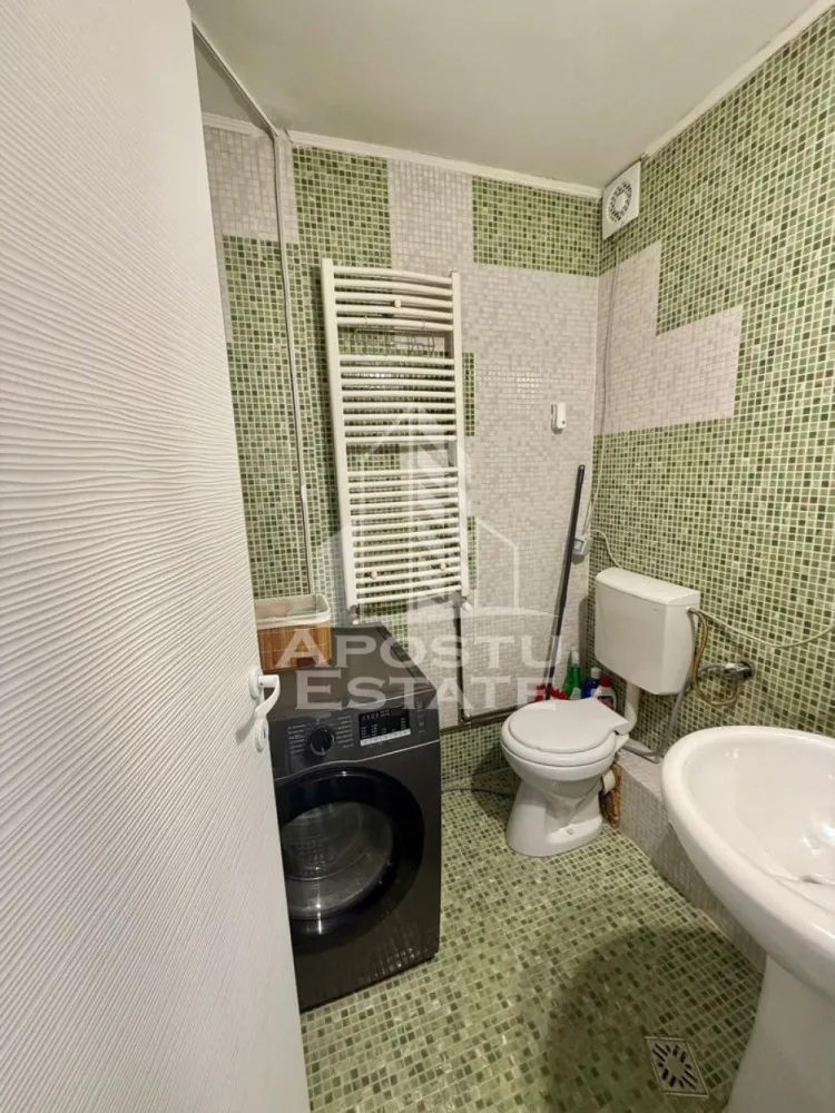 Apartament cu 1 camera de inchiriat, petfriendly, Sagului, Timisoara