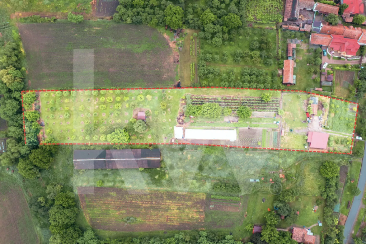 Domeniu de aproape 8.000 mp în inima Transilvaniei | Delenii, Județul Mureș - Spațiu, liniște și posibilități nelimitate de dezvoltare

Există proprietăți care se cumpără pentru ceea ce sunt astăzi și există proprietăți care se cumpără pentru ceea ce pot deveni.
În satul Delenii, comuna Băgaciu, la aproximativ 10 km de Târnăveni și în apropierea municipiului Mediaș, vă prezentăm o proprietate rară, cu o suprafață totală de 7.979 mp, situată integral în intravilanul localității.
Amplasată într-un cadru rural autentic, specific podgoriilor și dealurilor transilvănene, proprietatea oferă intimitate, acces facil și suficient spațiu pentru a transforma orice proiect în realitate: reședință permanentă, casă de vacanță, fermă de familie, pensiune rurală, centru de agrement sau investiție pe termen lung.
Caracteristici principale
•	Suprafață totală teren: 7.979 mp
•	Teren intravilan
•	Deschidere generoasă la drum
•	Acces direct din drum asfaltat
•	Formă regulată, ideală pentru utilizare eficientă
•	Curent electric disponibil
•	Alimentare cu apă din rețeaua comunală
•	Proprietate împrejmuită
•	Zonă locuită, cu vecinătăți rezidențiale
Construcții existente
Pe proprietate sunt amplasate mai multe anexe gospodărești care pot fi utilizate pentru depozitare, activități agricole sau pot constitui baza unui proiect de dezvoltare viitor.
De ce merită această proprietate?
✔ Aproape 8.000 mp de teren intravilan într-o singură parcelă
✔ Acces facil și infrastructură existentă
✔ Poziționare într-o zonă liniștită, cu trafic redus și peisaje naturale autentice
✔ Potențial pentru dezvoltare rezidențială, agricolă, turistică sau recreativă
✔ Oportunitate excelentă pentru cei care caută spațiu, libertate și o investiție cu perspectivă
Un loc pentru cei care caută mai mult decât un teren
Această proprietate nu înseamnă doar metri pătrați. Înseamnă posibilitatea de a construi un stil de viață diferit, într-o comunitate liniștită, înconjurată de natură, dar conectată la principalele centre urbane din zonă.
Fie că visezi la o gospodărie modernă, o afacere în turism rural sau pur și simplu la un refugiu departe de agitația orașului, această proprietate îți oferă spațiul necesar pentru a transforma planurile în realitate.
