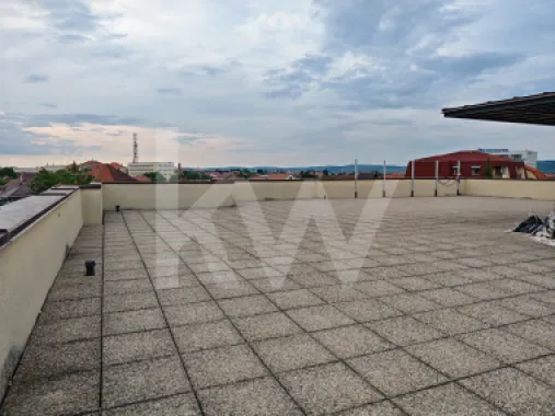 Spațiu de birouri luminos și modular – perfect pentru echipa ta!