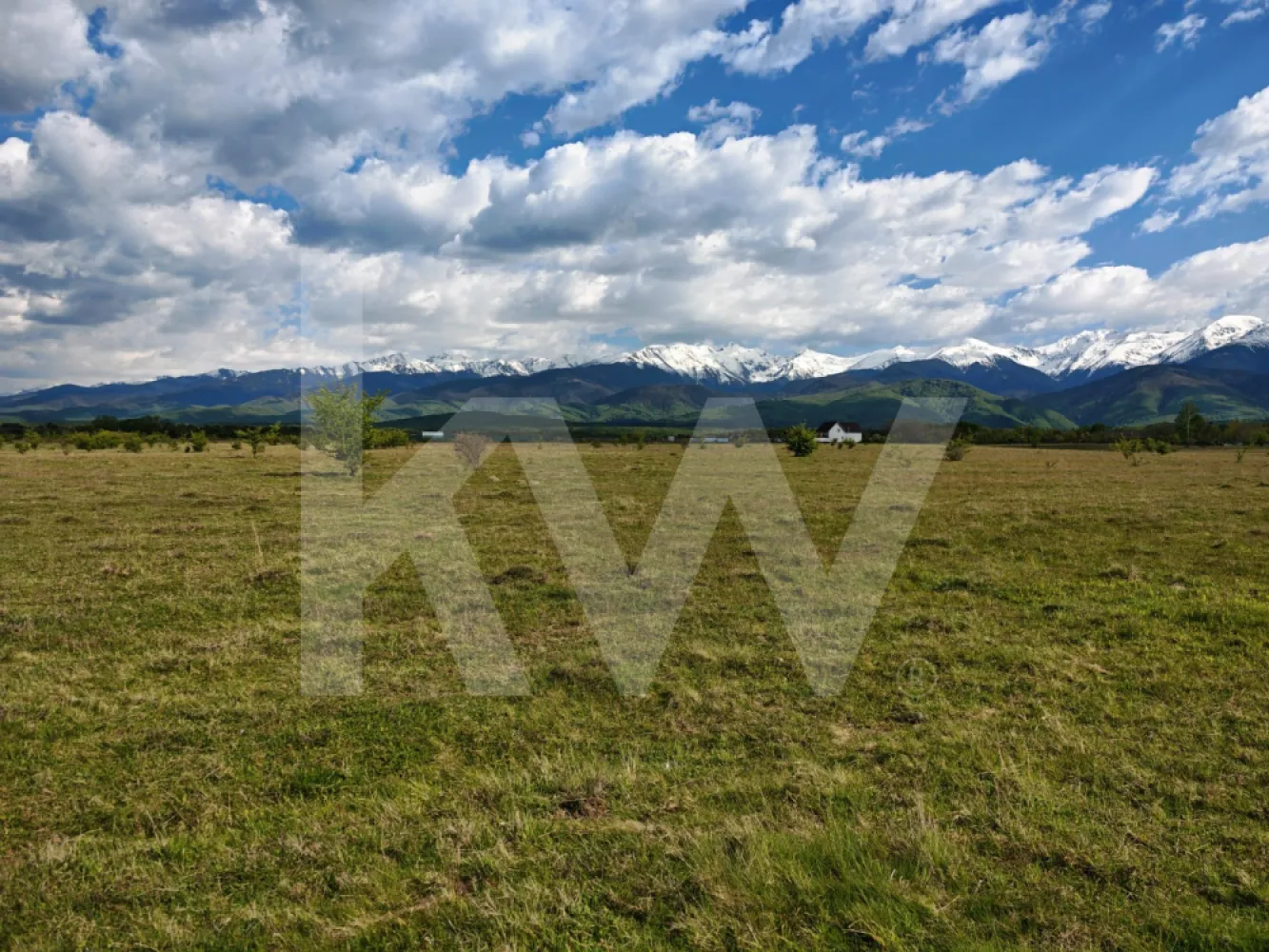 Teren 21.573mp, front 516m, view munte. Utilități în zonă. Hai la vizionare! - Vă prezentăm o proprietate situată direct în intravilan, având în prezent categoria de folosință arabil, cu o suprafață totală de 21.573 mp. Această suprafață generoasă și compactă reprezintă o opțiune potrivită pentru investiții pe termen mediu sau lung, oferind o bază solidă pentru proiecte diverse.

Caracteristici principale:
Terenul este situat deja în intravilan, un aspect esențial care simplifică considerabil demersurile viitoare în cazul în care se dorește dezvoltarea sau construcția pe această suprafață.

Fiind un teren utilizat ca arabil, suprafața este dreaptă, fără denivelări majore sau obstacole. Acest relief reduce semnificativ costurile ulterioare de pregătire și amenajare a solului.

Proprietatea se pretează atât pentru o utilizare individuală, ce necesită spațiu și intimitate, cât și pentru o eventuală parcelare ulterioară.

Categoria actuală de folosință (arabil) permite menținerea unor costuri de deținere și taxe anuale reduse până în momentul în care se decide schimbarea efectivă a destinației terenului.

Proprietatea dispune de documentația completă și este pregătită pentru tranzacționare, reprezentând un plasament sigur de capital într-o suprafață mare de teren intravilan.

Pentru informații suplimentare, consultarea documentelor de proprietate sau pentru programarea unei vizionări, vă stau cu plăcere la dispoziție.