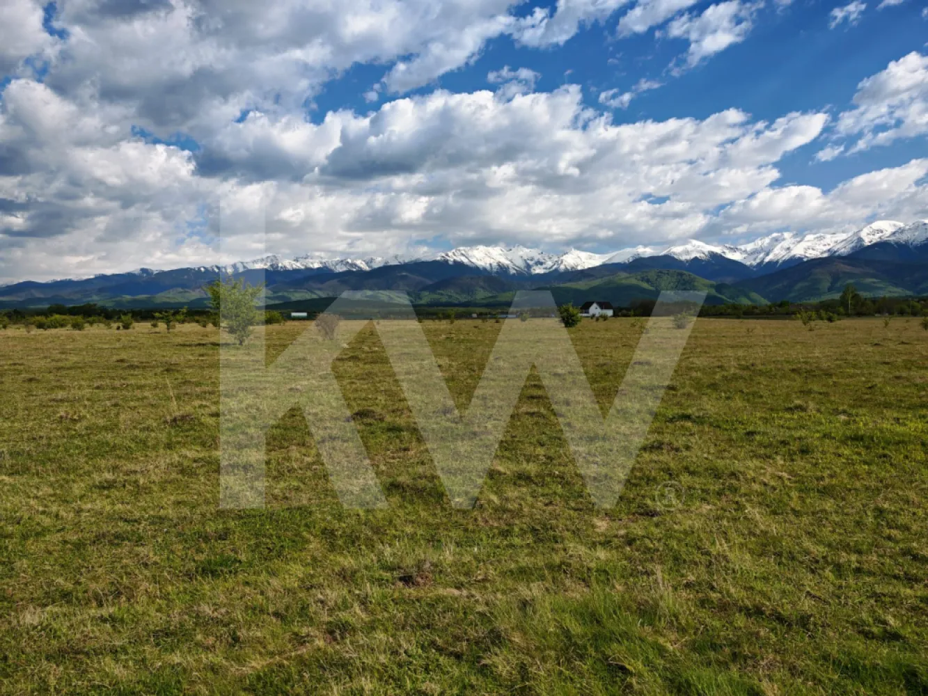 Teren 21.573mp, front 516m, view munte. Utilități în zonă. Hai la vizionare! - Vă prezentăm o proprietate situată direct în intravilan, având în prezent categoria de folosință arabil, cu o suprafață totală de 21.573 mp. Această suprafață generoasă și compactă reprezintă o opțiune potrivită pentru investiții pe termen mediu sau lung, oferind o bază solidă pentru proiecte diverse.

Caracteristici principale:
Terenul este situat deja în intravilan, un aspect esențial care simplifică considerabil demersurile viitoare în cazul în care se dorește dezvoltarea sau construcția pe această suprafață.

Fiind un teren utilizat ca arabil, suprafața este dreaptă, fără denivelări majore sau obstacole. Acest relief reduce semnificativ costurile ulterioare de pregătire și amenajare a solului.

Proprietatea se pretează atât pentru o utilizare individuală, ce necesită spațiu și intimitate, cât și pentru o eventuală parcelare ulterioară.

Categoria actuală de folosință (arabil) permite menținerea unor costuri de deținere și taxe anuale reduse până în momentul în care se decide schimbarea efectivă a destinației terenului.

Proprietatea dispune de documentația completă și este pregătită pentru tranzacționare, reprezentând un plasament sigur de capital într-o suprafață mare de teren intravilan.

Pentru informații suplimentare, consultarea documentelor de proprietate sau pentru programarea unei vizionări, vă stau cu plăcere la dispoziție.