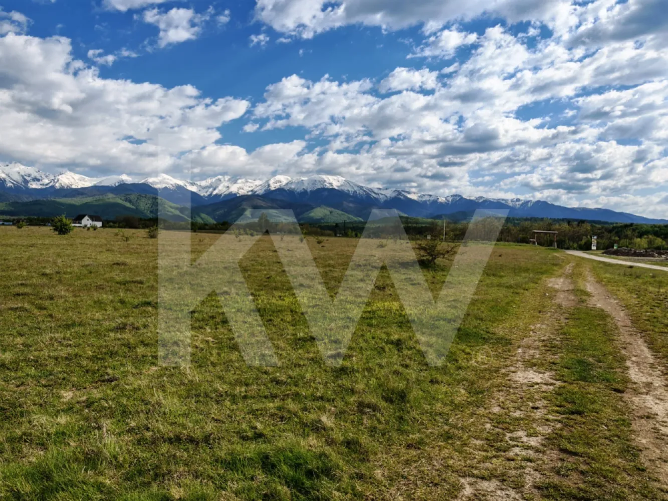 Teren 21.573mp, front 516m, view munte. Utilități în zonă. Hai la vizionare! - Vă prezentăm o proprietate situată direct în intravilan, având în prezent categoria de folosință arabil, cu o suprafață totală de 21.573 mp. Această suprafață generoasă și compactă reprezintă o opțiune potrivită pentru investiții pe termen mediu sau lung, oferind o bază solidă pentru proiecte diverse.

Caracteristici principale:
Terenul este situat deja în intravilan, un aspect esențial care simplifică considerabil demersurile viitoare în cazul în care se dorește dezvoltarea sau construcția pe această suprafață.

Fiind un teren utilizat ca arabil, suprafața este dreaptă, fără denivelări majore sau obstacole. Acest relief reduce semnificativ costurile ulterioare de pregătire și amenajare a solului.

Proprietatea se pretează atât pentru o utilizare individuală, ce necesită spațiu și intimitate, cât și pentru o eventuală parcelare ulterioară.

Categoria actuală de folosință (arabil) permite menținerea unor costuri de deținere și taxe anuale reduse până în momentul în care se decide schimbarea efectivă a destinației terenului.

Proprietatea dispune de documentația completă și este pregătită pentru tranzacționare, reprezentând un plasament sigur de capital într-o suprafață mare de teren intravilan.

Pentru informații suplimentare, consultarea documentelor de proprietate sau pentru programarea unei vizionări, vă stau cu plăcere la dispoziție.