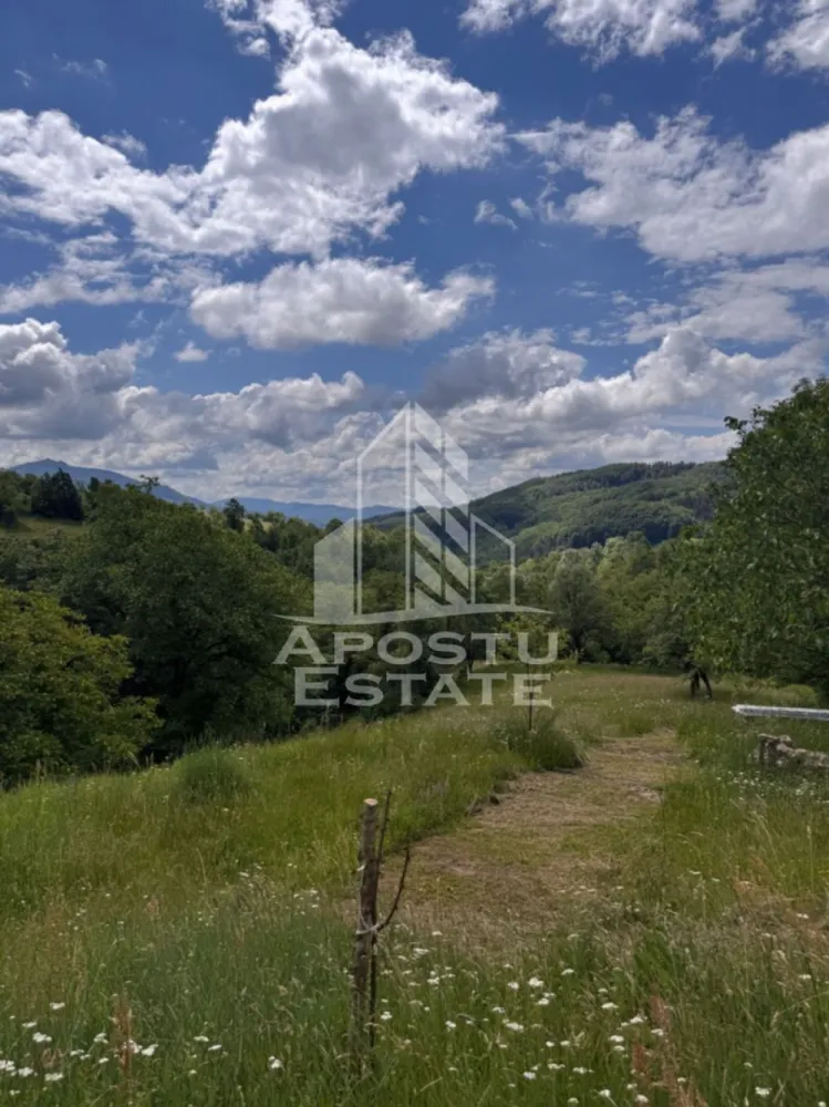 Casa la munte, la cheie, priveliste panoramica, in sat Ret, Hunedoara