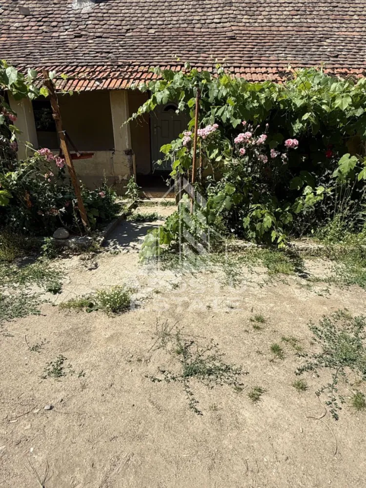 Casă veche în Bazos cu teren 1439 mp - Apostu Estate va oferă spre vânzare casa veche din vaiuga necesită reabilitare totală sau demolare cu teren generos de 1439 mp .
Front stradal de 22 ml.
Utilității;apa,curent 
Poziție bună ,între case în vatra satului ,asfalt ,iluminat stradal.
Curte împrejurmuita cu gard ,posibilitatea de a intra în curte cu mașina .
 La câteva minute de magazin alimentar,stație de autobuz .
Nu se poate achiziționa cu credit bancar!pentru mai multe informații vă rugăm să ne contactați telefonic.
Vă așteptăm cu drag la o vizionare!