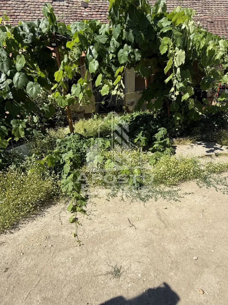 Casă veche în Bazos cu teren 1439 mp - Apostu Estate va oferă spre vânzare casa veche din vaiuga necesită reabilitare totală sau demolare cu teren generos de 1439 mp .
Front stradal de 22 ml.
Utilității;apa,curent 
Poziție bună ,între case în vatra satului ,asfalt ,iluminat stradal.
Curte împrejurmuita cu gard ,posibilitatea de a intra în curte cu mașina .
 La câteva minute de magazin alimentar,stație de autobuz .
Nu se poate achiziționa cu credit bancar!pentru mai multe informații vă rugăm să ne contactați telefonic.
Vă așteptăm cu drag la o vizionare!