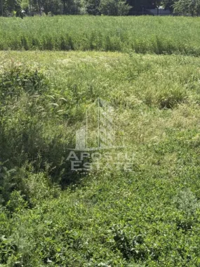 Casă veche în Bazos cu teren 1439 mp