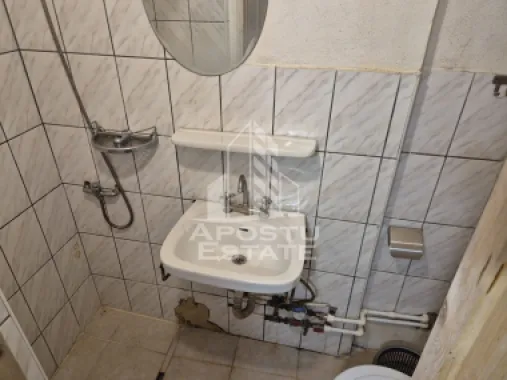 Apartament 1 camera, de inchiriat, Complexul Studentesc, Timisoara