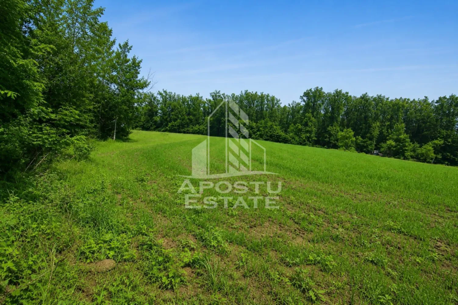 Teren agricol si pasune de 5300+3300 mp, Cuied - Apostu Estate va propune spre vanzare un teren plat cu acces direct din sosea, amplasat intr-o zona linistita, inconjurata de natura, cu multiple posibilitati de dezvoltare si eligibil pentru accesarea fondurilor europene.
Acces facil direct din soseaua principala, pe asfalt.
Se accepta si plata in rate direct de la proprietar.

Fie ca va doriti un proiect turistic, o investitie pe termen lung sau un refugiu in natura, aceasta proprietate ofera cadrul ideal pentru transformarea ideilor in realitate.

De ce merita sa il vezi:

Suprafata totala: 8.600 mp
5.300 mp teren arabil
3.300 mp pasune impadurita
Teren complet plat – usor de amenajat pentru diferite activitati
Acces rapid si facil direct din soseaua principala
Panza freatica ridicata – avantaj pentru proiecte precum piscina, balta de pescuit sau microferma
Zona apreciata pentru apicultura datorita padurilor de salcam
Priveliste deschisa, aer curat si multa liniste

Potential de dezvoltare:
 Camping sau glamping
 Pescarie recreativa
 Livada sau plantatie
 Ferma de mici dimensiuni
 Proiect finantabil prin fonduri europene
 Spatiu dedicat relaxarii sau retragerii din agitatia urbana

Nu cumperi doar teren. Cumperi spatiu, acces, natura si posibilitatea de a construi ceva cu adevarat valoros.

Programeaza o vizionare si descopera un loc cu potential, unde investitia si natura pot merge mana in mana.

Apostu Estate – transformam oportunitatile in investitii.

 Ofetra ID 3156352
