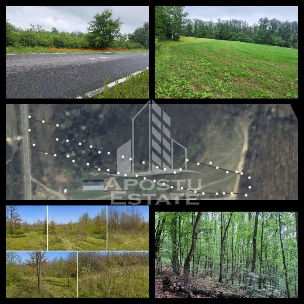 Teren agricol si pasune de 5300+3300 mp, Cuied - Apostu Estate va propune spre vanzare un teren plat cu acces direct din sosea, amplasat intr-o zona linistita, inconjurata de natura, cu multiple posibilitati de dezvoltare si eligibil pentru accesarea fondurilor europene.
Acces facil direct din soseaua principala, pe asfalt.
Se accepta si plata in rate direct de la proprietar.

Fie ca va doriti un proiect turistic, o investitie pe termen lung sau un refugiu in natura, aceasta proprietate ofera cadrul ideal pentru transformarea ideilor in realitate.

De ce merita sa il vezi:

Suprafata totala: 8.600 mp
5.300 mp teren arabil
3.300 mp pasune impadurita
Teren complet plat – usor de amenajat pentru diferite activitati
Acces rapid si facil direct din soseaua principala
Panza freatica ridicata – avantaj pentru proiecte precum piscina, balta de pescuit sau microferma
Zona apreciata pentru apicultura datorita padurilor de salcam
Priveliste deschisa, aer curat si multa liniste

Potential de dezvoltare:
 Camping sau glamping
 Pescarie recreativa
 Livada sau plantatie
 Ferma de mici dimensiuni
 Proiect finantabil prin fonduri europene
 Spatiu dedicat relaxarii sau retragerii din agitatia urbana

Nu cumperi doar teren. Cumperi spatiu, acces, natura si posibilitatea de a construi ceva cu adevarat valoros.

Programeaza o vizionare si descopera un loc cu potential, unde investitia si natura pot merge mana in mana.

Apostu Estate – transformam oportunitatile in investitii.

 Ofetra ID 3156352