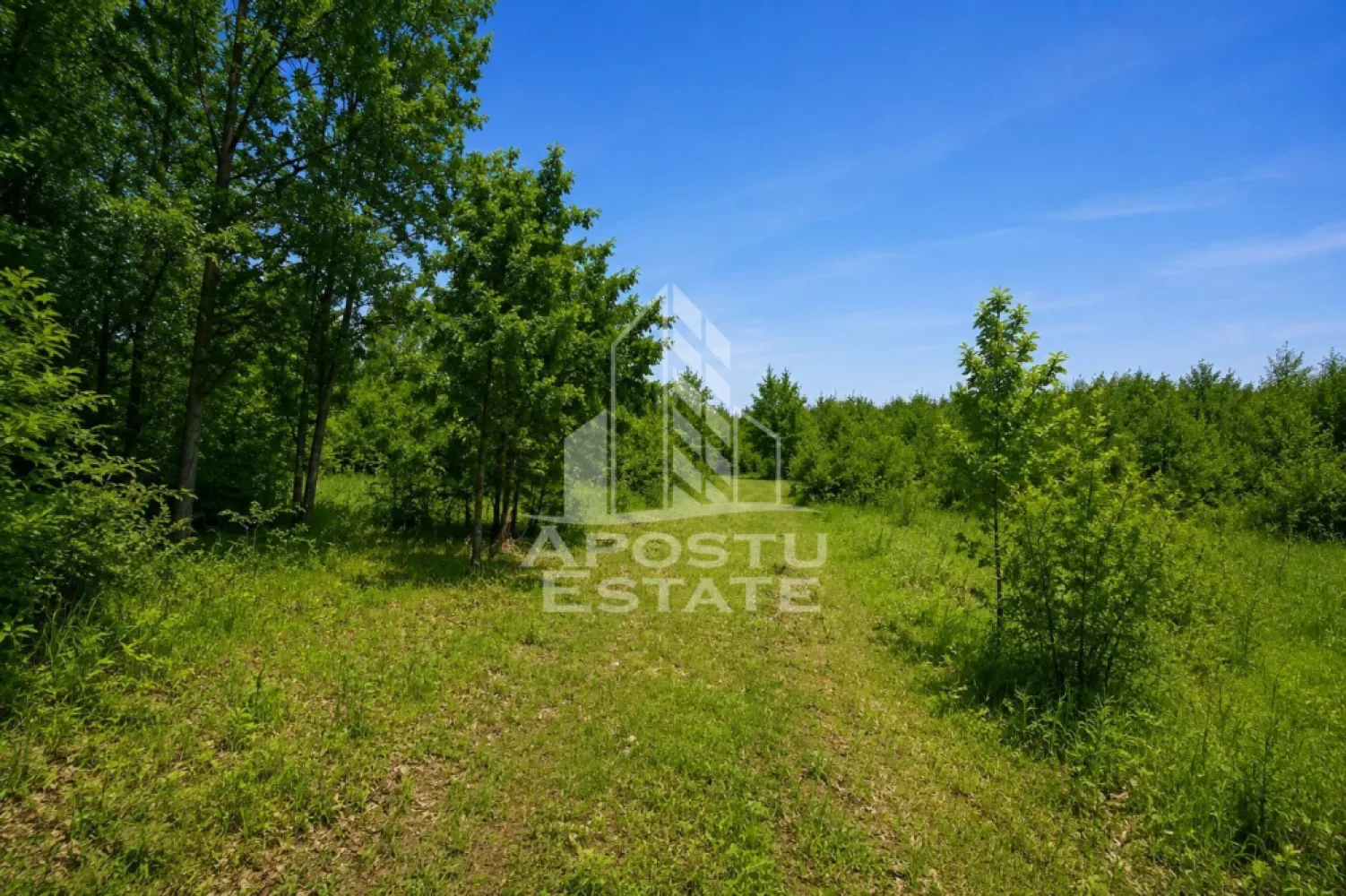 Teren agricol si pasune de 5300+3300 mp, Cuied - Apostu Estate va propune spre vanzare un teren plat cu acces direct din sosea, amplasat intr-o zona linistita, inconjurata de natura, cu multiple posibilitati de dezvoltare si eligibil pentru accesarea fondurilor europene.
Acces facil direct din soseaua principala, pe asfalt.
Se accepta si plata in rate direct de la proprietar.

Fie ca va doriti un proiect turistic, o investitie pe termen lung sau un refugiu in natura, aceasta proprietate ofera cadrul ideal pentru transformarea ideilor in realitate.

De ce merita sa il vezi:

Suprafata totala: 8.600 mp
5.300 mp teren arabil
3.300 mp pasune impadurita
Teren complet plat – usor de amenajat pentru diferite activitati
Acces rapid si facil direct din soseaua principala
Panza freatica ridicata – avantaj pentru proiecte precum piscina, balta de pescuit sau microferma
Zona apreciata pentru apicultura datorita padurilor de salcam
Priveliste deschisa, aer curat si multa liniste

Potential de dezvoltare:
 Camping sau glamping
 Pescarie recreativa
 Livada sau plantatie
 Ferma de mici dimensiuni
 Proiect finantabil prin fonduri europene
 Spatiu dedicat relaxarii sau retragerii din agitatia urbana

Nu cumperi doar teren. Cumperi spatiu, acces, natura si posibilitatea de a construi ceva cu adevarat valoros.

Programeaza o vizionare si descopera un loc cu potential, unde investitia si natura pot merge mana in mana.

Apostu Estate – transformam oportunitatile in investitii.

 Ofetra ID 3156352