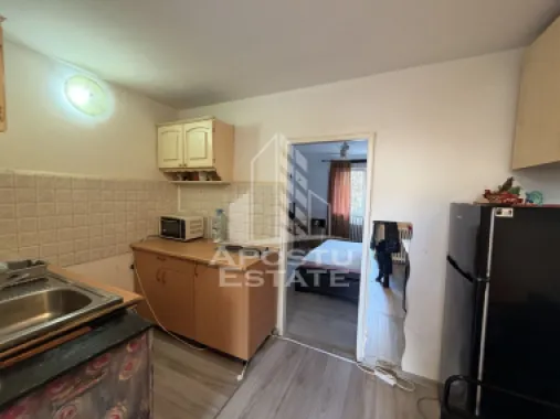 Garsonieră, renovată , 25 mp, Pet Friendly , Cetatii