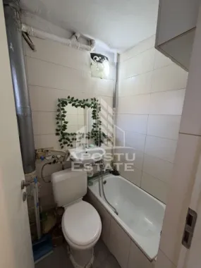 Garsonieră, renovată , 25 mp, Pet Friendly , Cetatii
