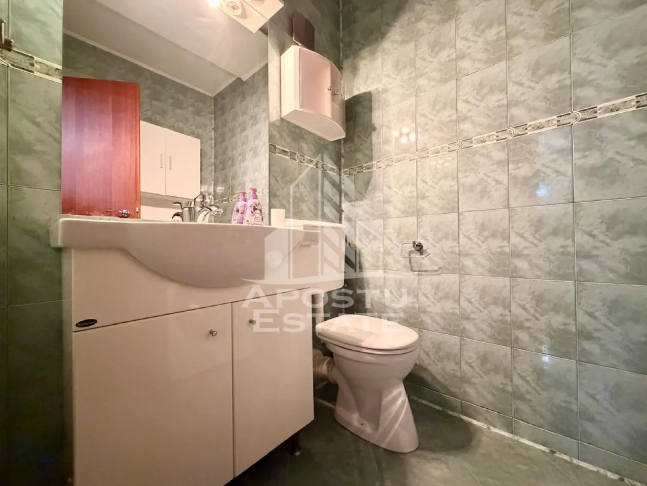 Apartament cu 3 camere de vanzare, bloc nou, Aradului, Timisoara