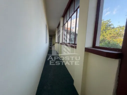 Casa batraneasca cu teren de 3022 mp, in Carani