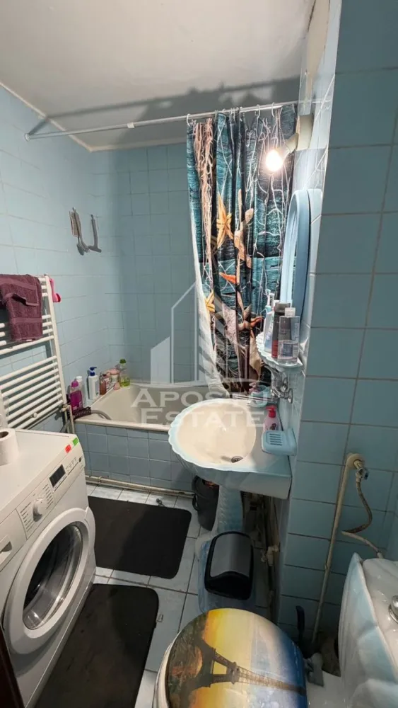 Apartament cu 2 camere de inchiriat, petfriendly, Sagului,Timisoara
