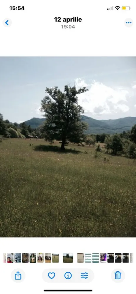 Teren Intravilan 720 mp. Bistra Muresului - De vănzare 720 mp.teren intravilan in Jud. Mures ,Loc.Bistra Muresului
Contact 0774048706 Bogdan
Terenul de 720 mp.se vinde la prețul de 11.500 Euro negociabil Comisionul este ZERO!
Contact 0774048706 Bogdan
Dacă vă place această ofertă - sau pentru alte informații sunați la numărul de contact din anunț! 0774048706 Bogdan
Compania Zap Imobiliare vă pune la dispoziție toate informațiile, actele și documentele necesare alături de asistență și consiliere permanentă până la finalizarea achiziției imobiliare.
