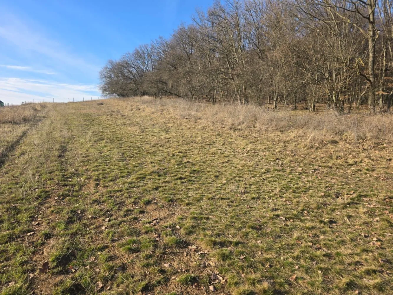 Teren intravilan, 1051 mp. 39 euro mp - Vă oferim spre vânzare 1051 mp teren intravilan situat pe Strada Viilor, in Sancraiu de Mures oferit de Zap Imobiliare, comision ZERO.

Cei interesați pot achiziționa terenul la prețul de 42.000 EURO negociabil
Contact: 0774048706 Bogdan

Compania ZapImobiliare a ales cei mai buni și experimentați parteneri în realizarea tranzacțiilor astfel încât odată cu cea mai bună alegere imobiliară vei primi la pachet și cele mai bune servicii necesare în tot acest proces.

Dacă vă place această ofertă - sau pentru alte informații sunați la numărul de contact din anunț!
Compania Zap Imobiliare vă pune la dispoziție toate informațiile, actele și documentele necesare alături de asistență și consiliere permanentă până la finalizarea achiziției imobiliare. Ne dorim să îți oferim cea mai plăcută experiență, îndeplinim vise cu pereți!