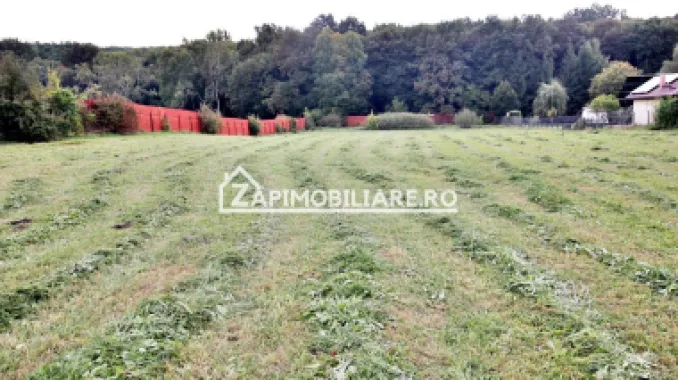 Teren Intravilan 5400 mp Corunca Valea Iubirii
