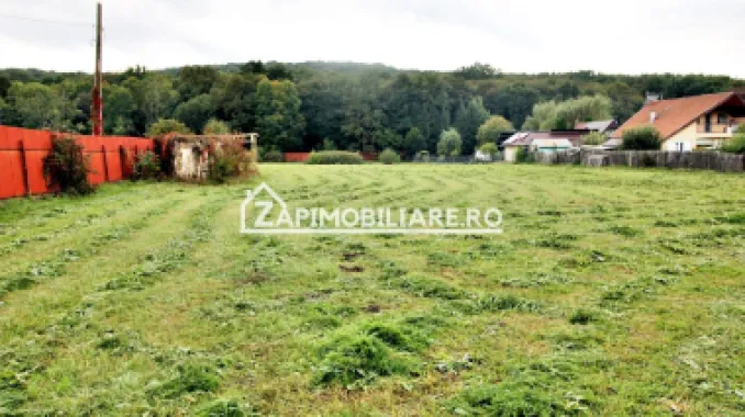 Teren Intravilan 5400 mp Corunca Valea Iubirii