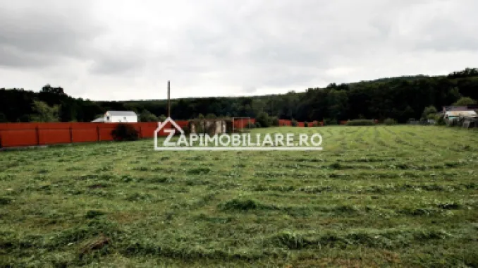 Teren Intravilan 5400 mp Corunca Valea Iubirii