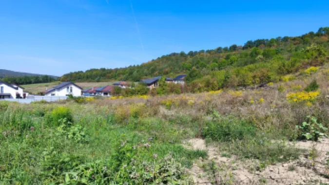 Corunca - 650 mp cu PUZ - zona superba si linistita