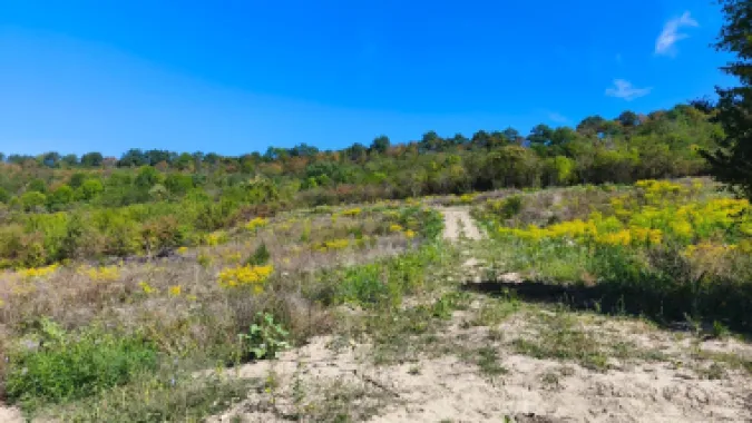 Corunca - 650 mp cu PUZ - zona superba si linistita
