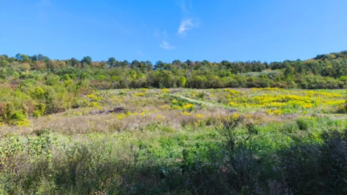 Corunca - 650 mp cu PUZ - zona superba si linistita