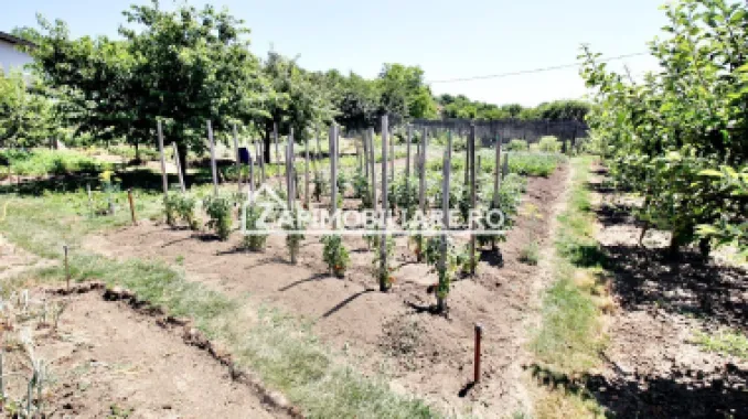 Teren intravilan 1.300 mp.zona Belvedere Targu Mures
