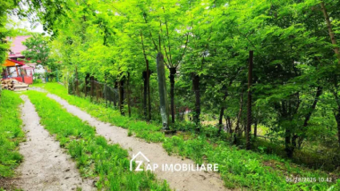 Teren Platou - 1613 mp - cu căbănuță intabulată– vedere panoramica