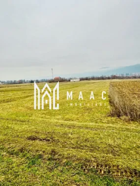 Teren | Oportunitate de investiție | 859 MP | Intravilan | Tălmaciu