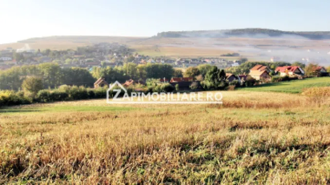 Teren 25.000 mp. Comuna Voiniceni ,12 euro mp.comision ZERO