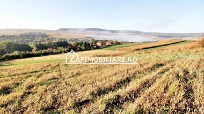 Teren 25.000 mp. Comuna Voiniceni ,12 euro mp.comision ZERO