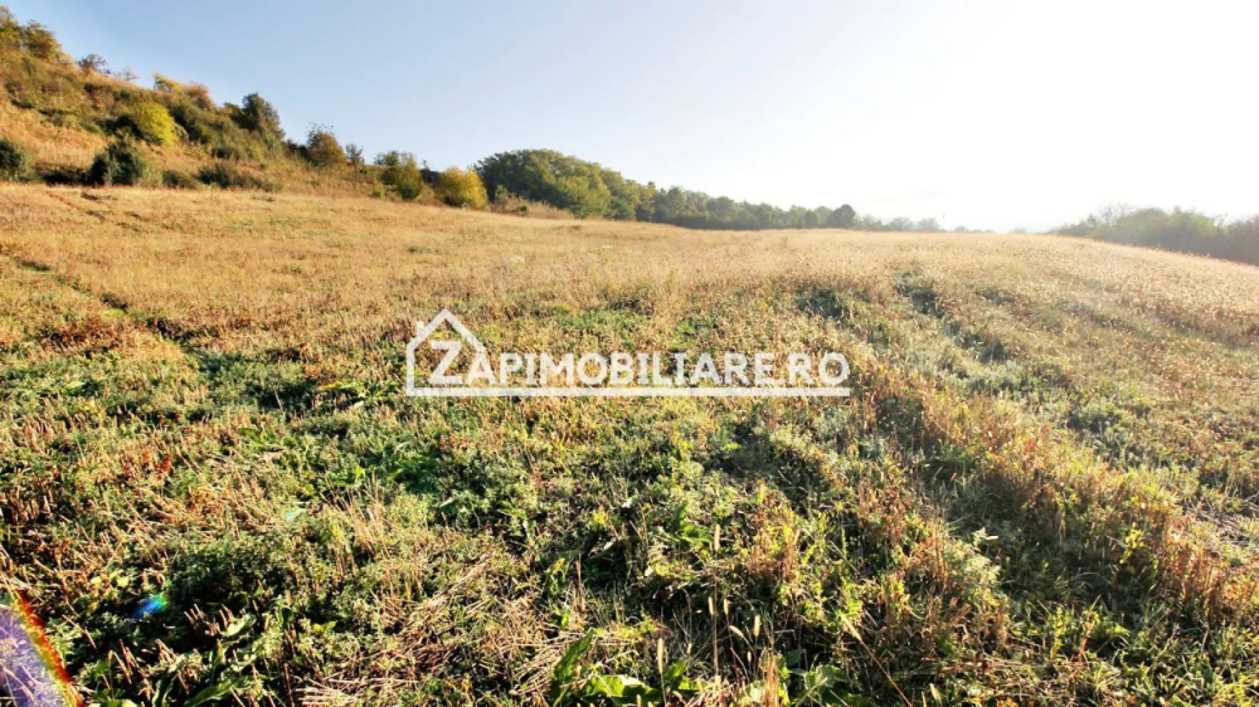 Teren 25.000 mp. Comuna Voiniceni ,12 euro mp.comision ZERO - De vănzare 25.000mp.teren in Voiniceni , ideal pentru panouri fotovoltaice

Contact 0774048706 Bogdan
- 1 parcelă de 11.806 mp.se vinde la prețul de 12 euro mp negociabil Comisionul este ZERO!
- 1 parcelă de 12.718 mp se vinde la pretul de 22 euro mp.Comisionul este ZERO
Contact 0774048706 Bogdan
Dacă vă place această ofertă - sau pentru alte informații sunați la numărul de contact din anunț! 0774048706 Bogdan
Compania Zap Imobiliare vă pune la dispoziție toate informațiile, actele și documentele necesare alături de asistență și consiliere permanentă până la finalizarea achiziției imobiliare
