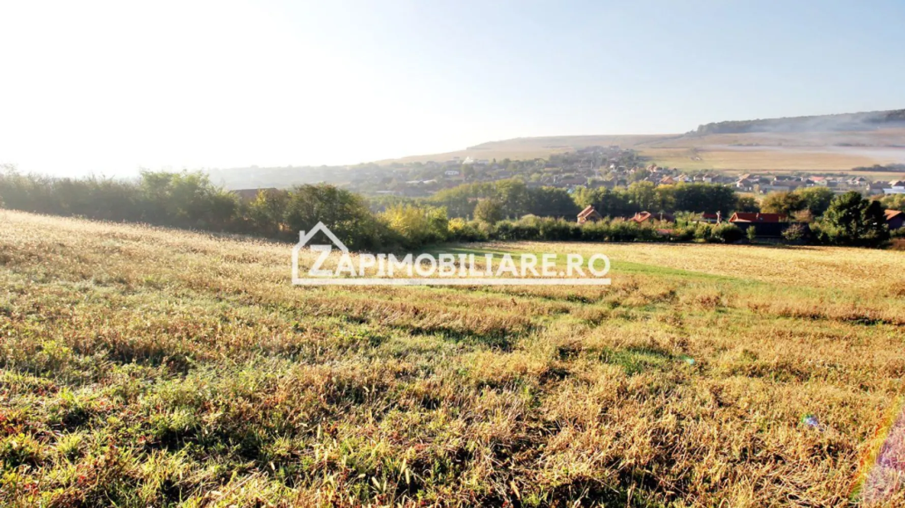 Teren 25.000 mp. Comuna Voiniceni ,12 euro mp.comision ZERO - De vănzare 25.000mp.teren in Voiniceni , ideal pentru panouri fotovoltaice

Contact 0774048706 Bogdan
- 1 parcelă de 11.806 mp.se vinde la prețul de 12 euro mp negociabil Comisionul este ZERO!
- 1 parcelă de 12.718 mp se vinde la pretul de 22 euro mp.Comisionul este ZERO
Contact 0774048706 Bogdan
Dacă vă place această ofertă - sau pentru alte informații sunați la numărul de contact din anunț! 0774048706 Bogdan
Compania Zap Imobiliare vă pune la dispoziție toate informațiile, actele și documentele necesare alături de asistență și consiliere permanentă până la finalizarea achiziției imobiliare