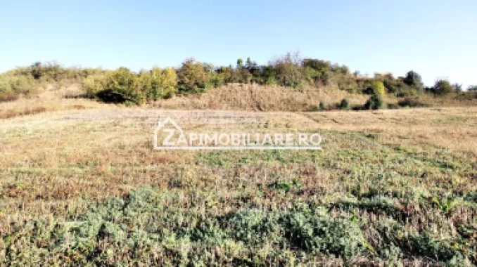 Teren 25.000 mp. Comuna Voiniceni ,12 euro mp.comision ZERO