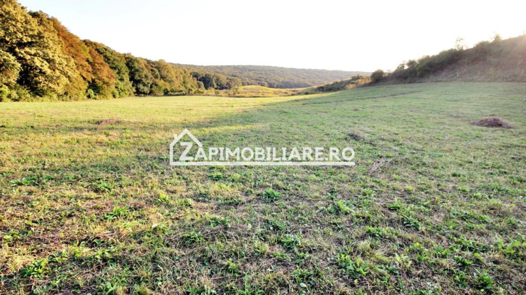 De vanzare 2 terenuri de 29.500 mp si 1.400 mp.29 euro mp - Vă oferim spre vânzare 2 parcele de teren in Livezeni cu suprafața de 29.500 si 1.400 mp. situat în Livezeni 
Contact 0774048706 Bogdan

Cei interesați pot achiziționa terenul de 29.500 mp la prețul de 863.000 EURO 29 euro mp negociabil comision ZERO.
Terenul de 1.450 mp. este situat in Ivănesti si se vinde la pretul de 50.500 euro 35.euro mp.negociabil comision zero
Dacă vă place această ofertă - sau pentru alte informații sunați la numărul de contact din anunț! 0774048706 Bogdan
Compania Zap Imobiliare vă pune la dispoziție toate informațiile, actele și documentele necesare alături de asistență și consiliere permanentă până la finalizarea achiziției imobiliare. Ne dorim să îți oferim cea mai plăcută experiență.